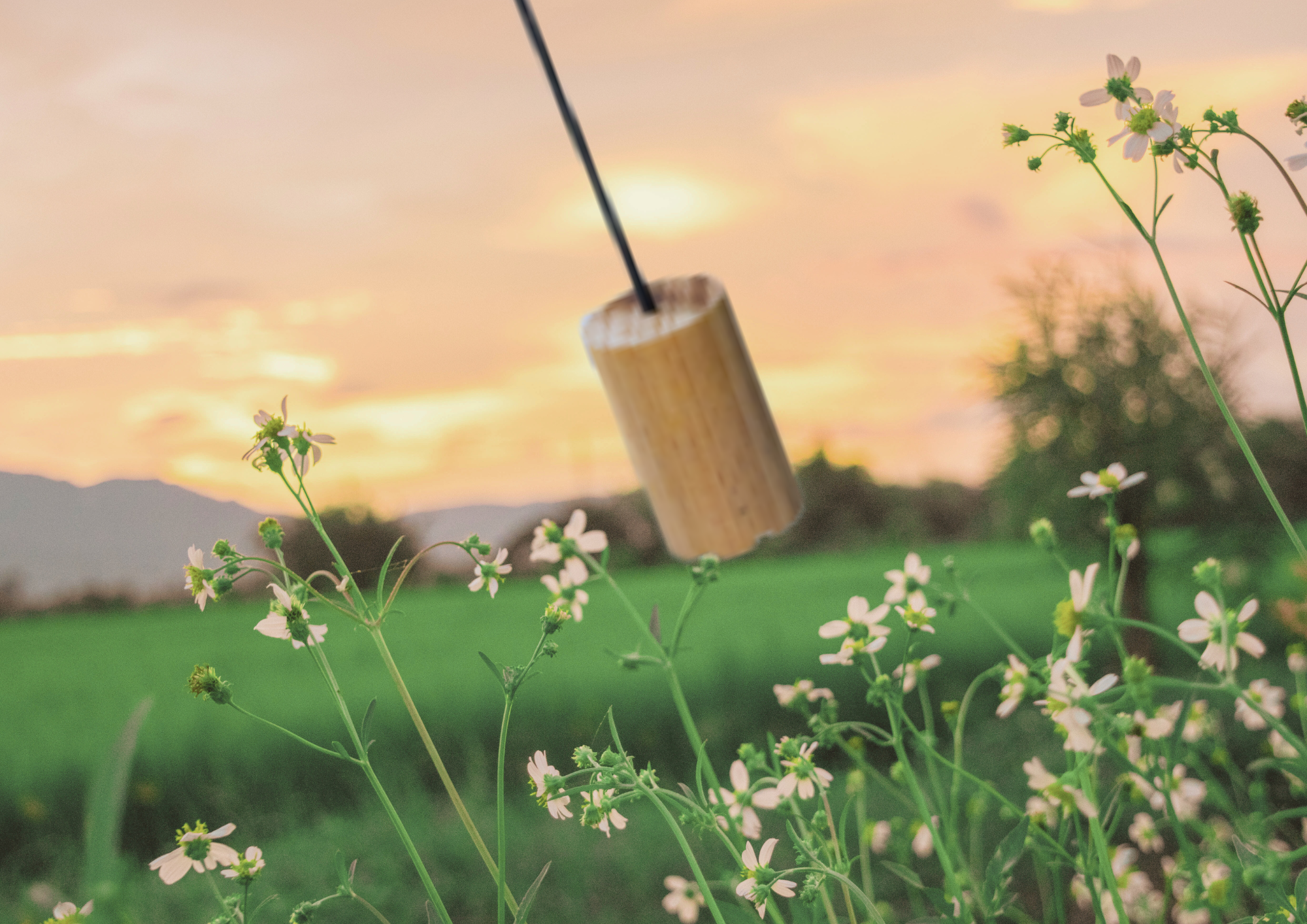 Terapia con Péndulo Hebreo a distancia - sanación energética